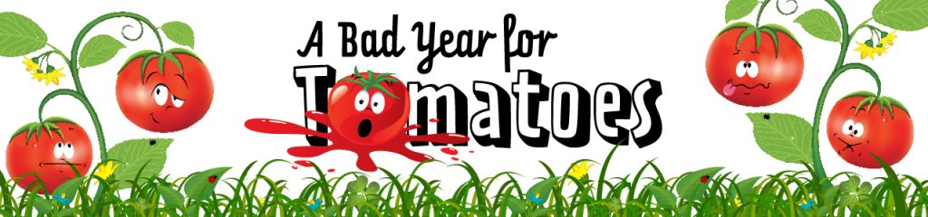 A Bad Year For Tomatoes The Guild Theatre   Tomatoes Website Banner C 1024x240 